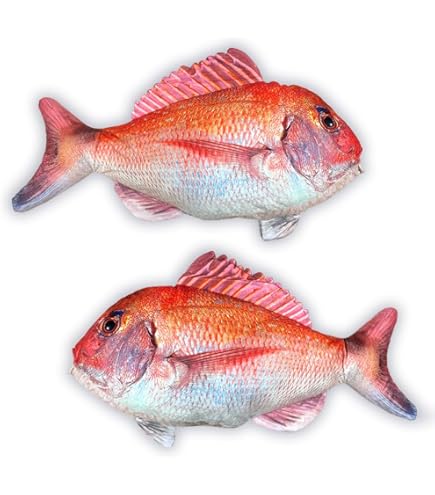 さかな Amazon.co.jp: 太洋産業貿易 SK004 さかなクン監修 おさかなぬいぐるみ